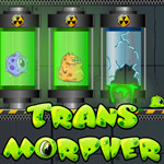 transmorpher 1